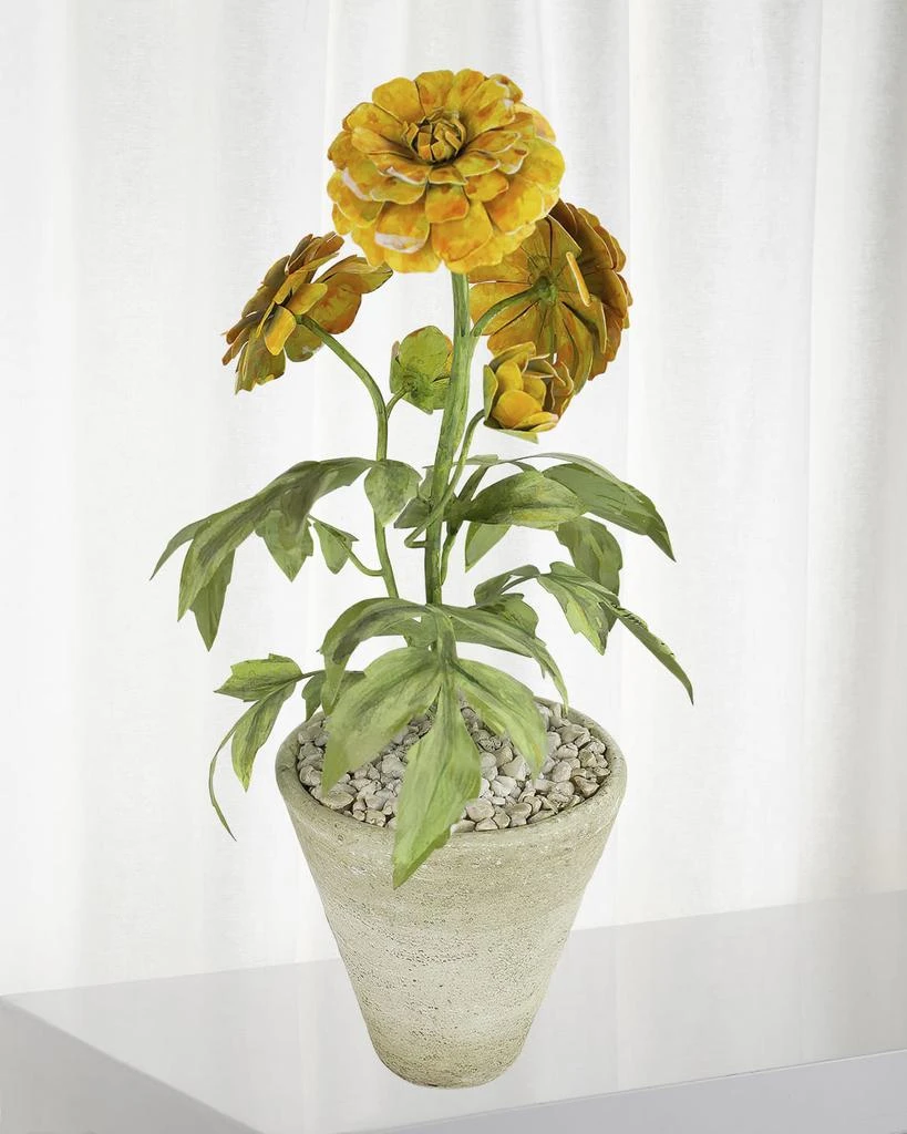 Tommy Mitchell Marigold October Birth Flower in White Terracotta Pot 1
