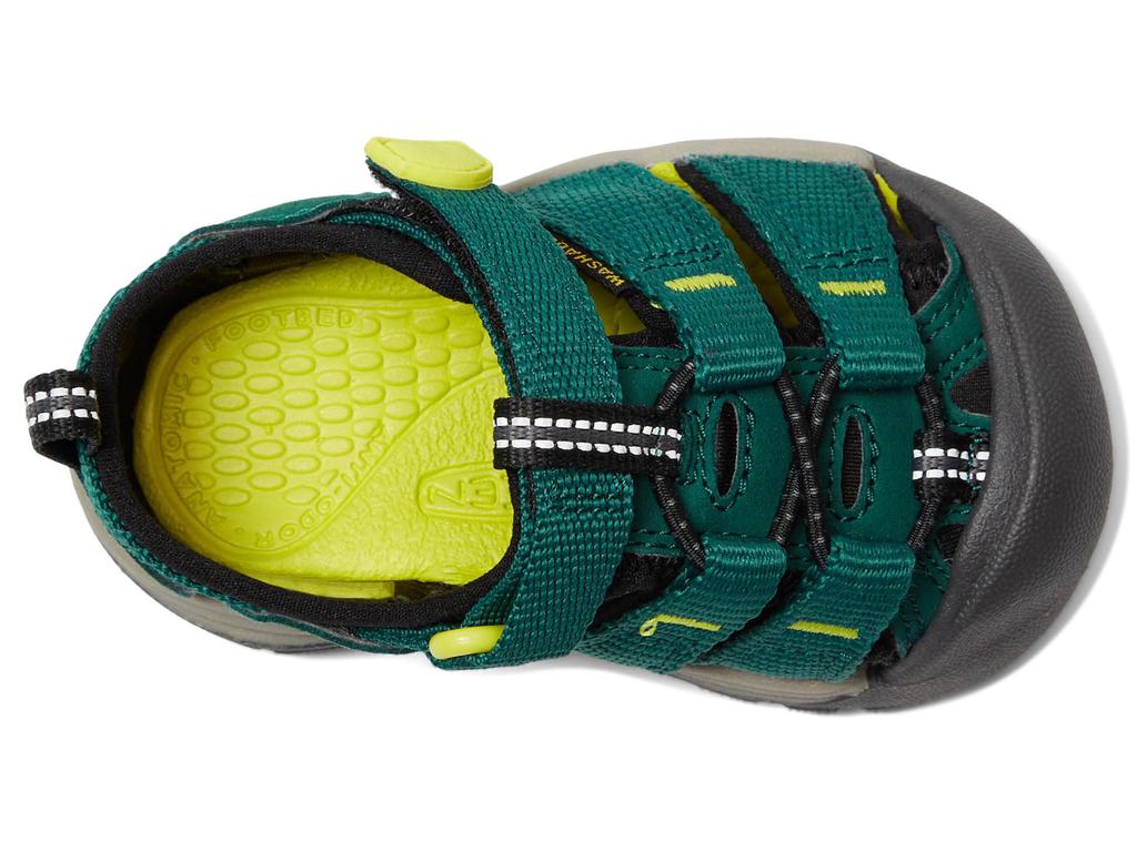 Keen Newport H2 (Toddler)