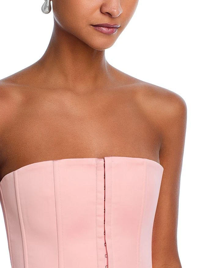 Danielle Guizio Satin Corset Top 4