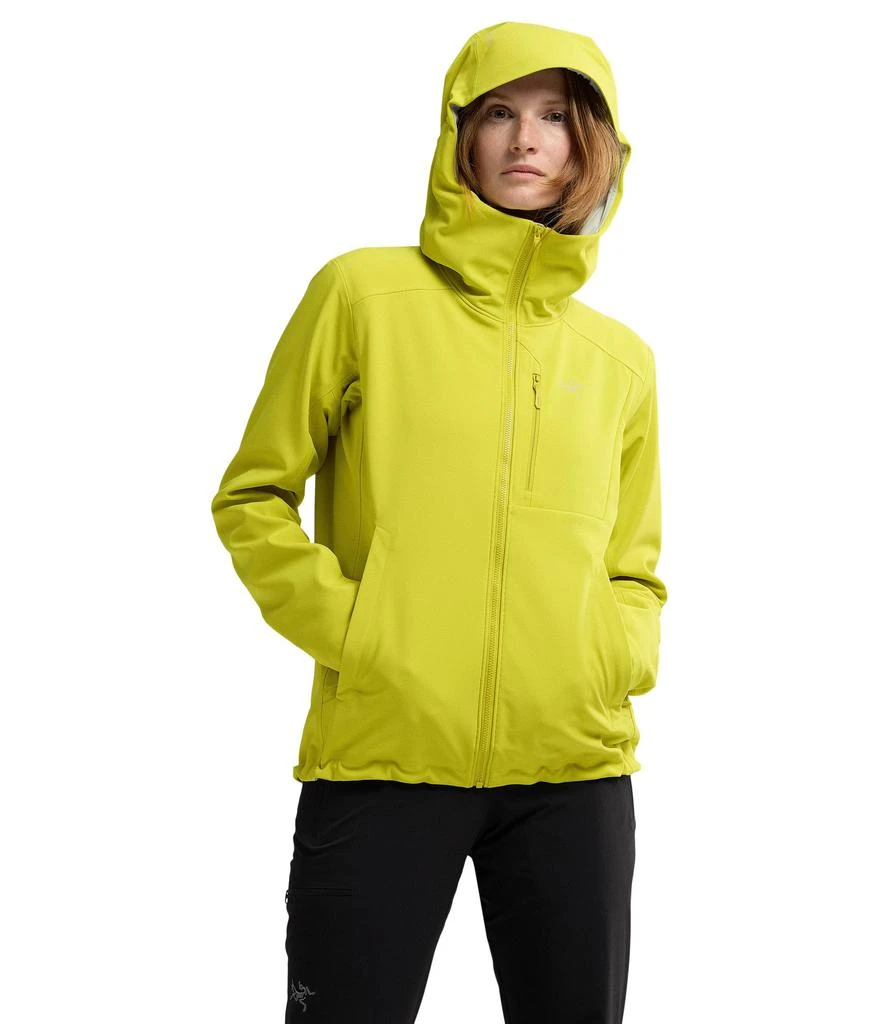 Arc'teryx Gamma Heavyweight Hoody 1