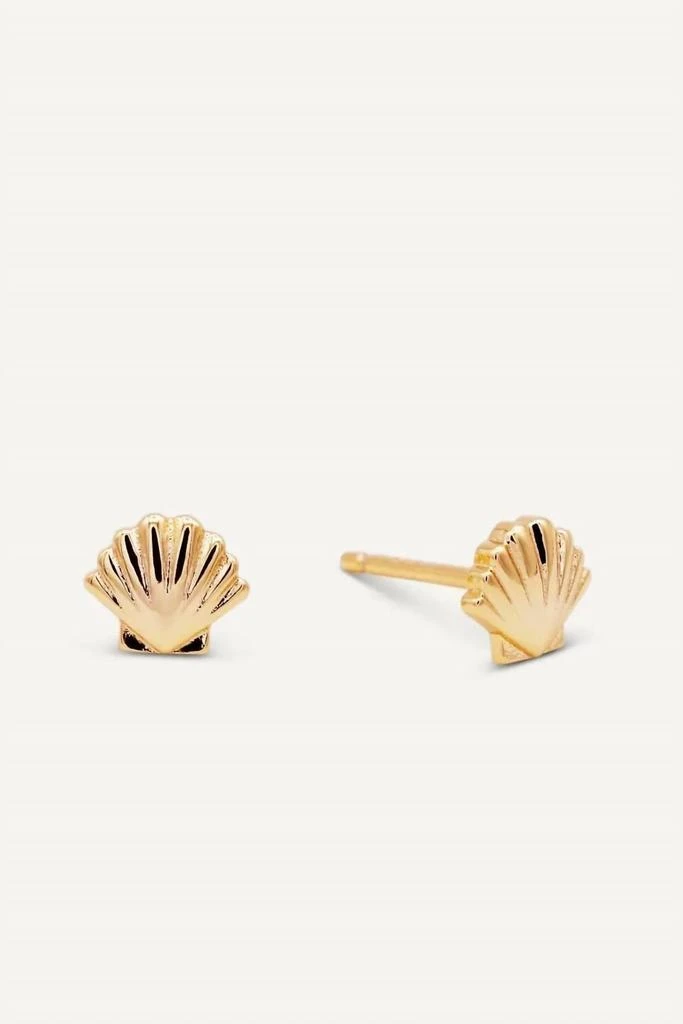 JaxKelly Jaxkelly - Women
s Seashell Earrings