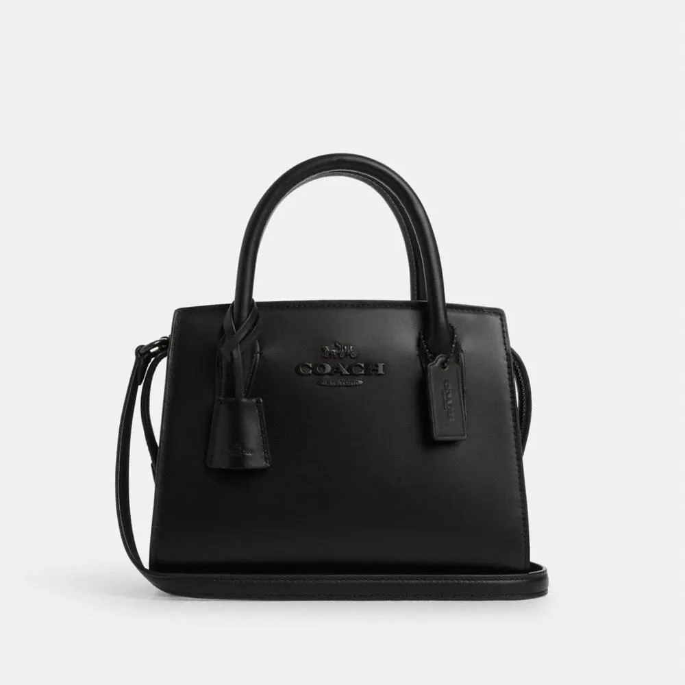 Coach Andrea Carryall Bag 1