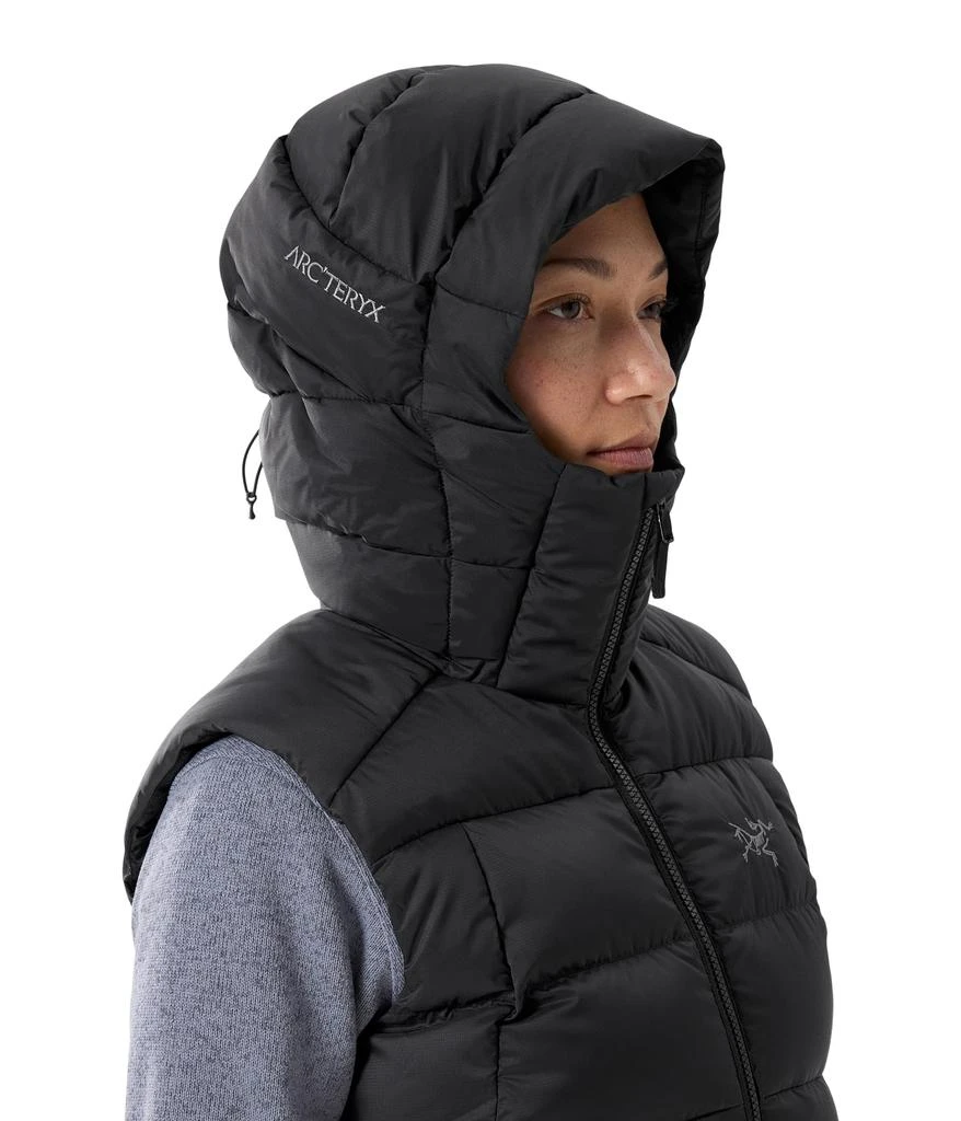 Arc'teryx Thorium Vest 4