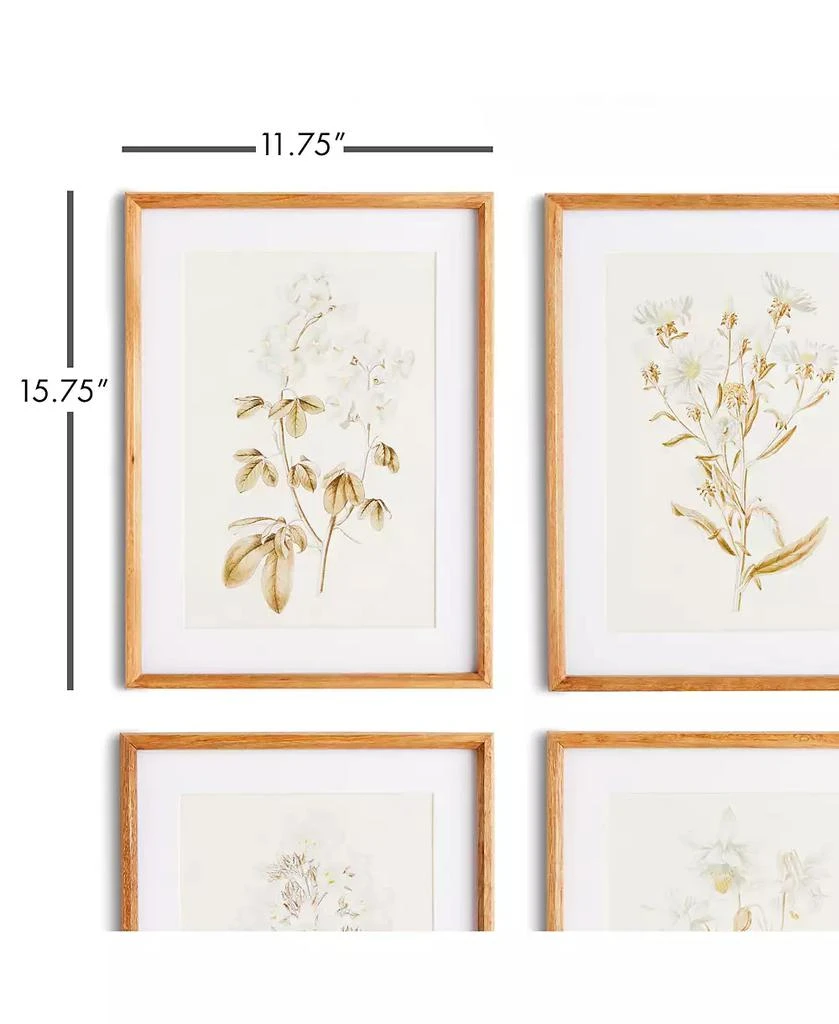 Napa Home
Garden Fleur De Blanc Prints Set of 4 2