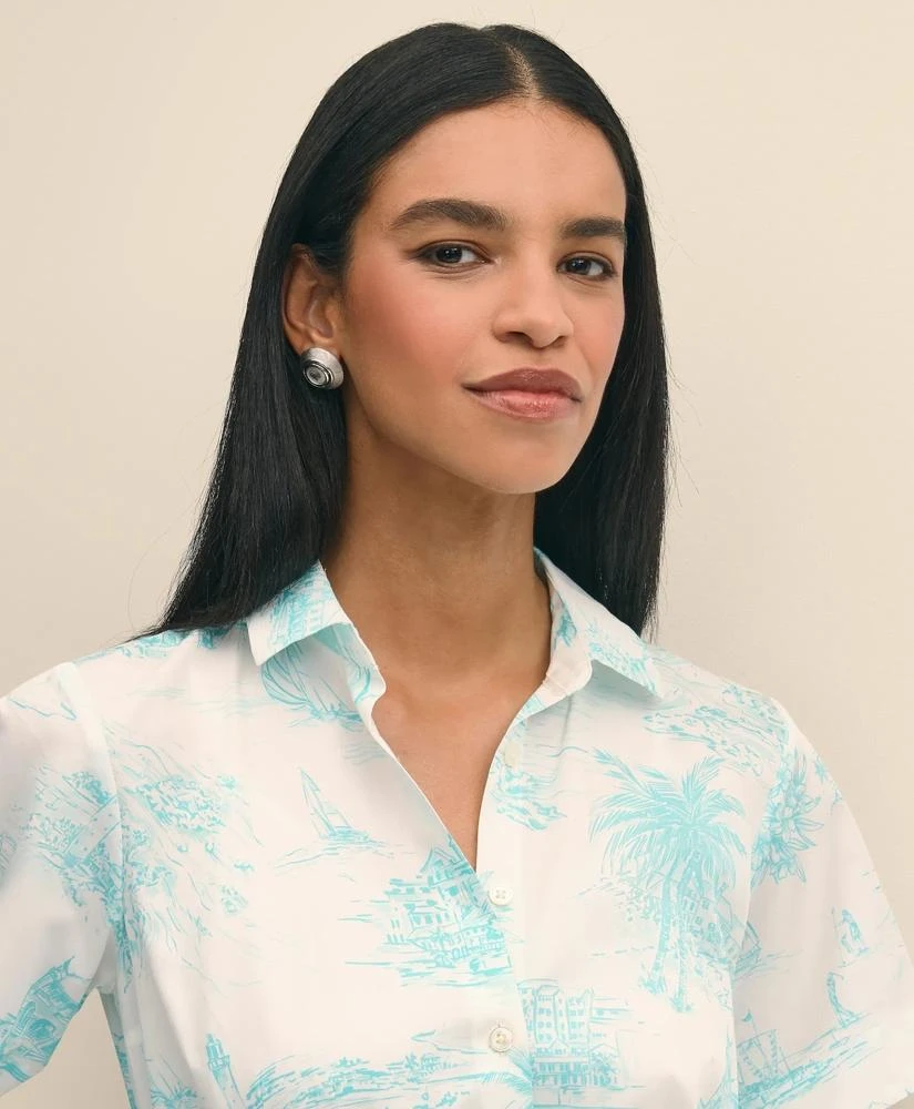Brooks Brothers Supima® Satin Cotton Bermuda Toile Shirt Dress 3
