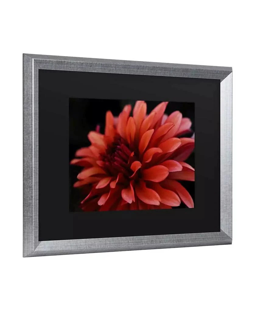 Trademark Global Kurt Shaffer Red Dhalia Matted Framed Art - 27" x 33" 2