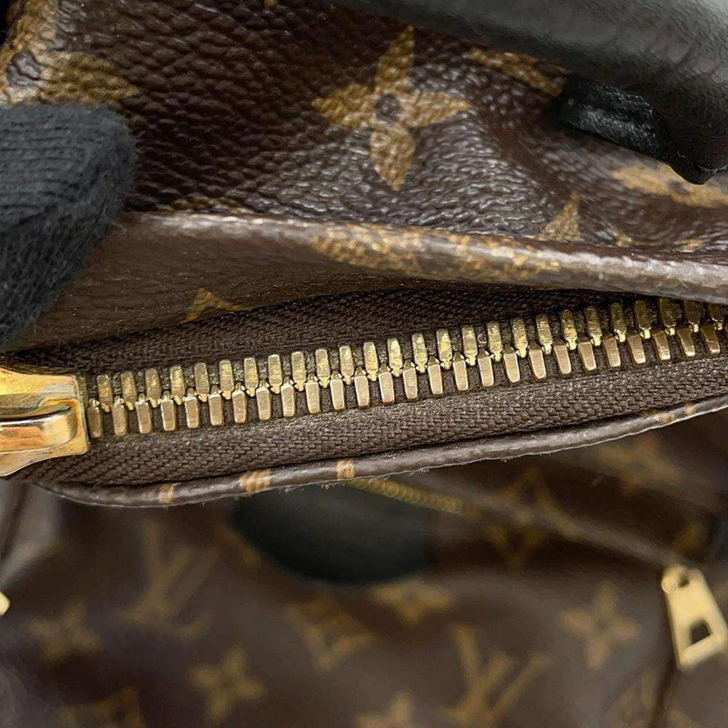 Louis Vuitton Louis Vuitton Noir Monogram Palm Springs Backpack Size Pm 6