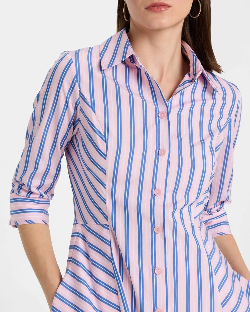 Evi Grintela Cara Striped Cotton Shirtdress 5