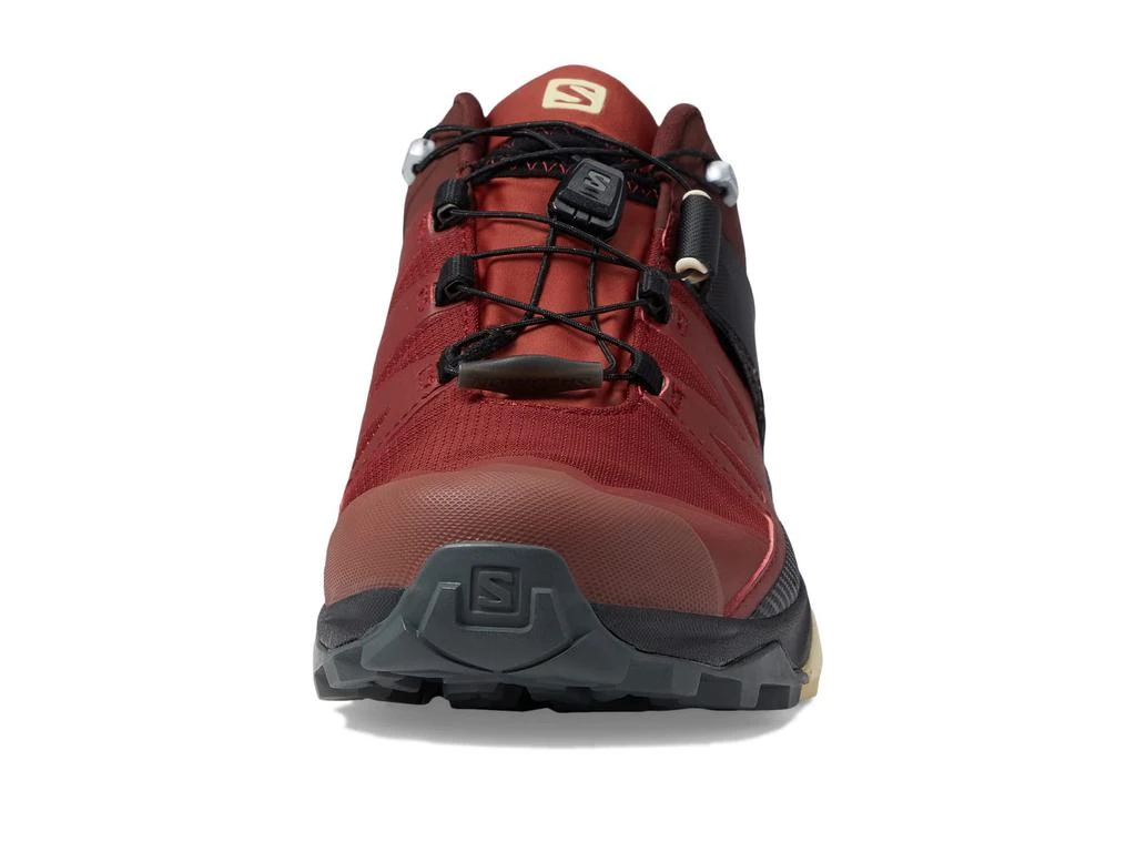 Salomon X Ultra 4 GTX 6