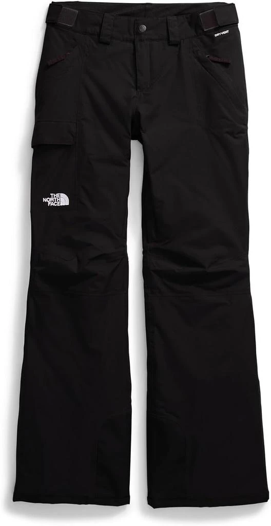 The North Face THE NORTH FACE Women
s Freedom Insulated Pant (Standard 
Plus Size) | Waterproof for Snow Sports, Gaiters, Adjustable Waist 7