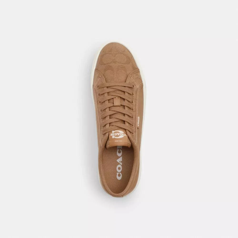 Coach Canvas Sneaker 3