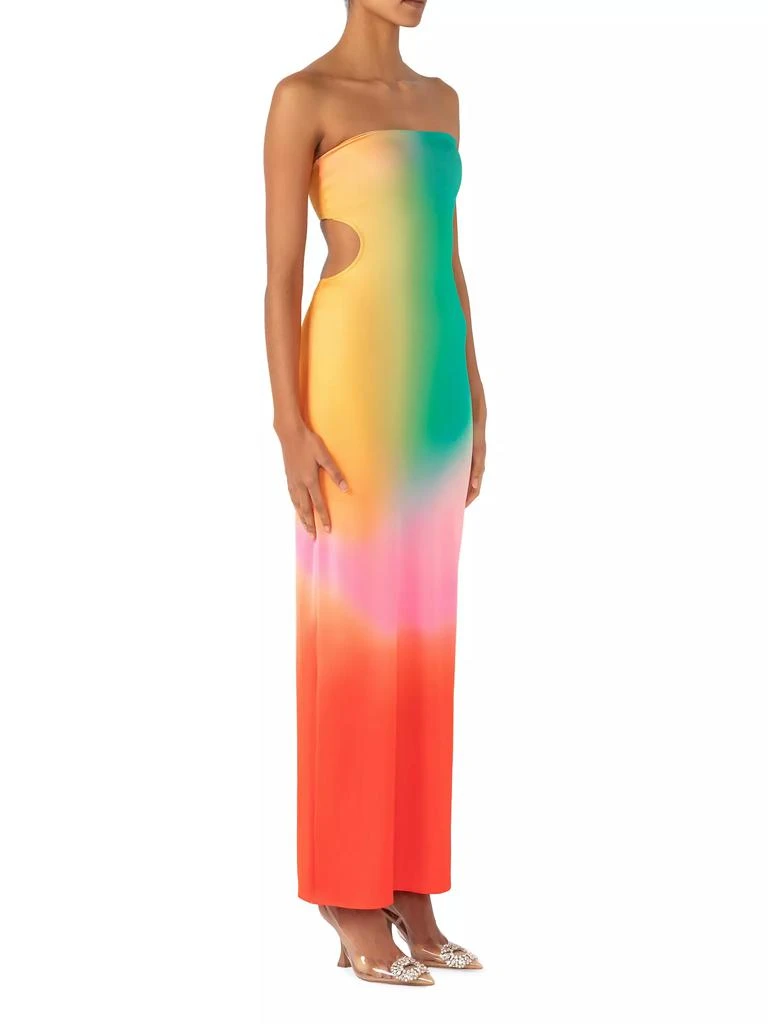 Baobab Mambo Maxi Dress 6