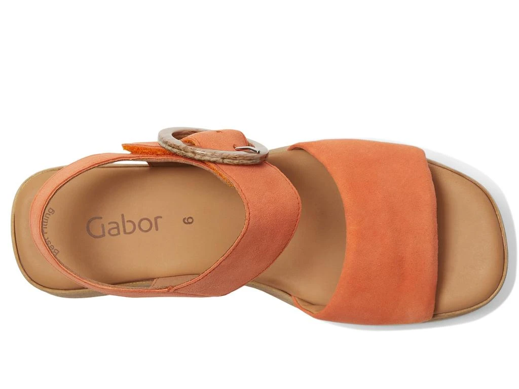 Gabor Gabor 64.520 2