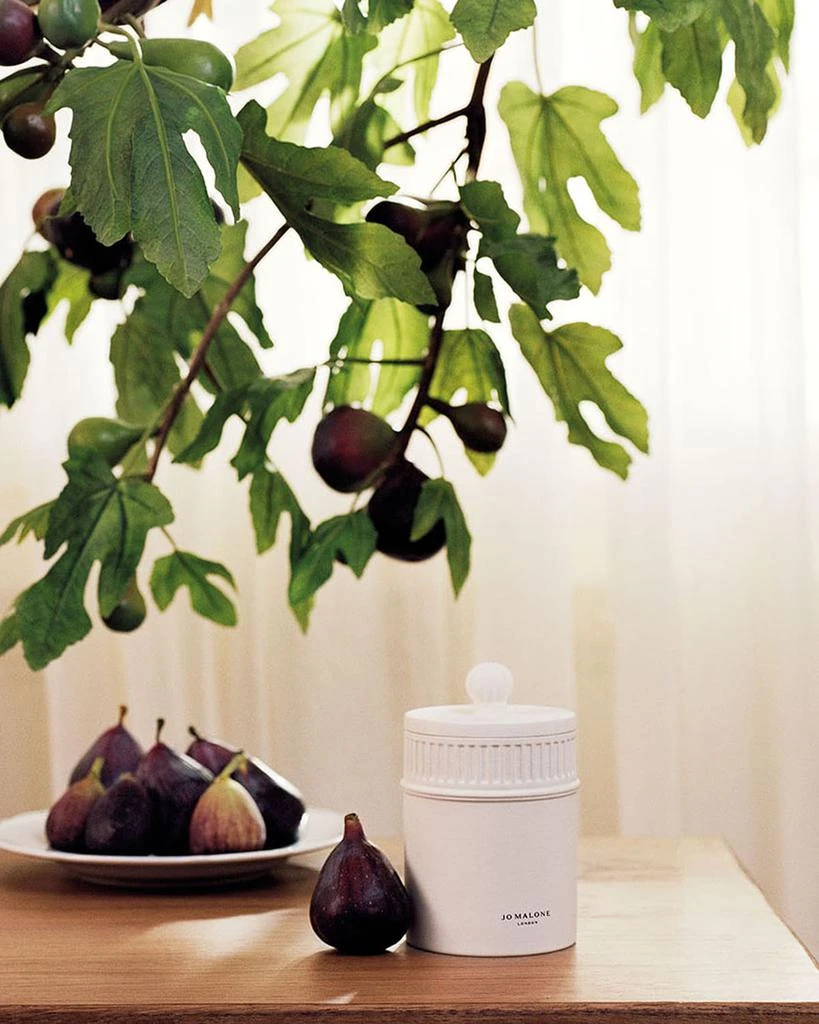Jo Malone London 10.6 oz. Fresh Fig & Cassis Candle 4