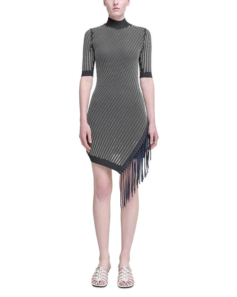 SIMKHAI Orla Fringed Mini Dress 5