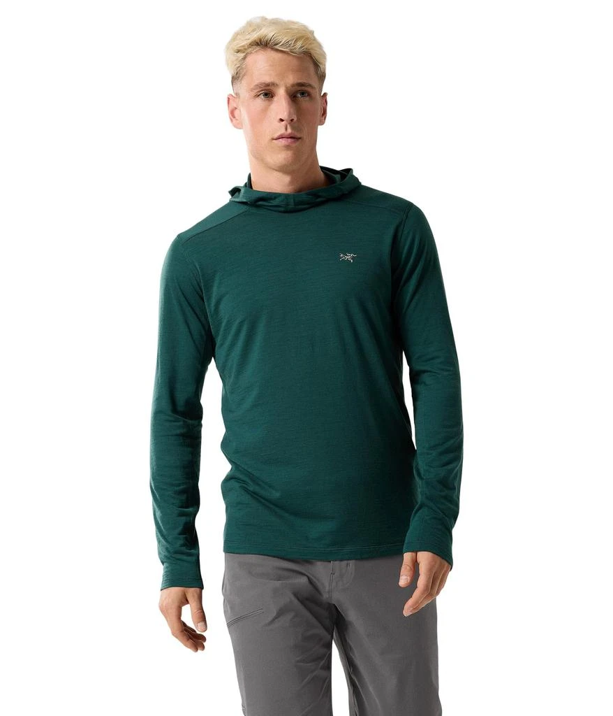 Arc'teryx Ionia Merino Wool Hoody 1