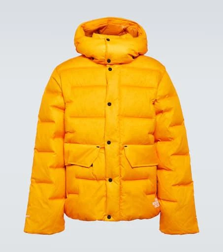The North Face RMST Sierra parka 1