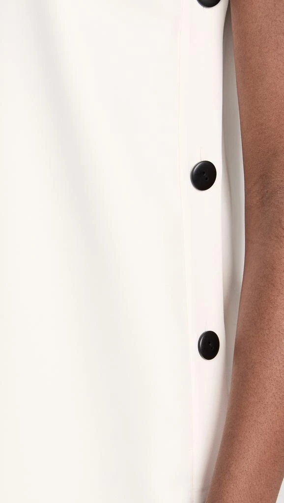 Alexis Libra Dress 5