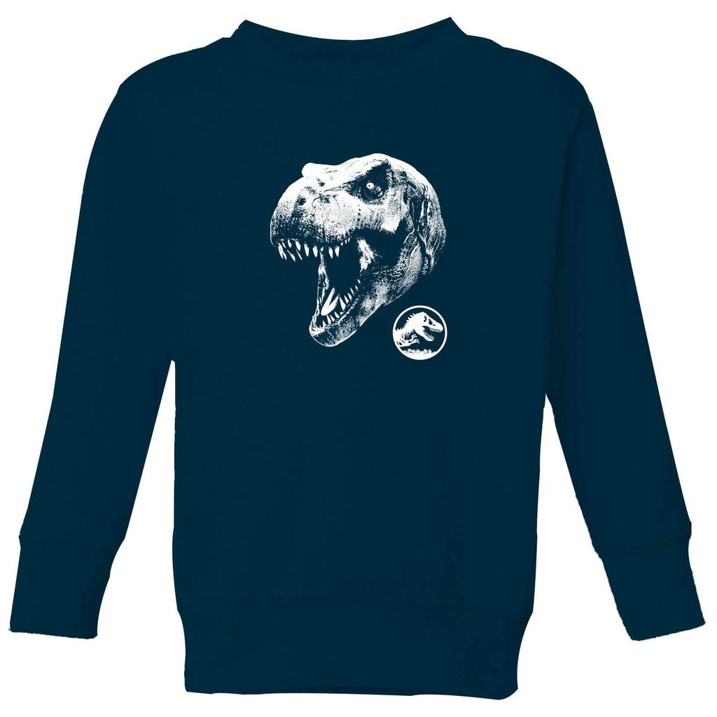 Jurassic Park Jurassic Park T Rex Kids' Sweatshirt - Navy