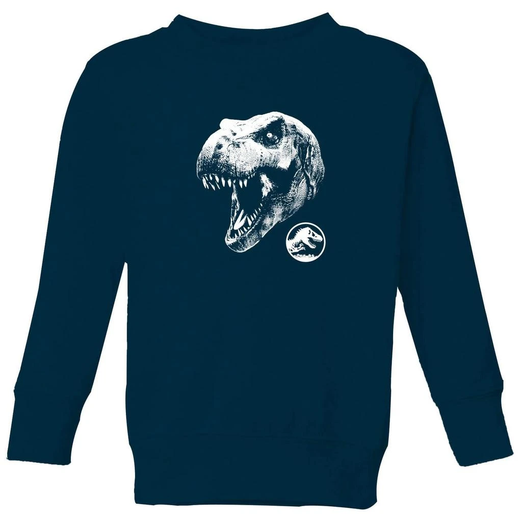 Jurassic Park Jurassic Park T Rex Kids' Sweatshirt - Navy 1