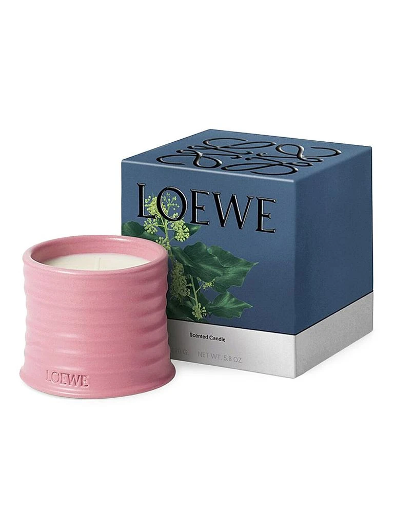 LOEWE Perfumes Ivy Scented Candle 2