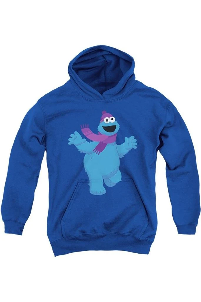 Gildan Sesame Street Furry Friends Forever! Cookie Monster Youth Pull Over Hoodie 1