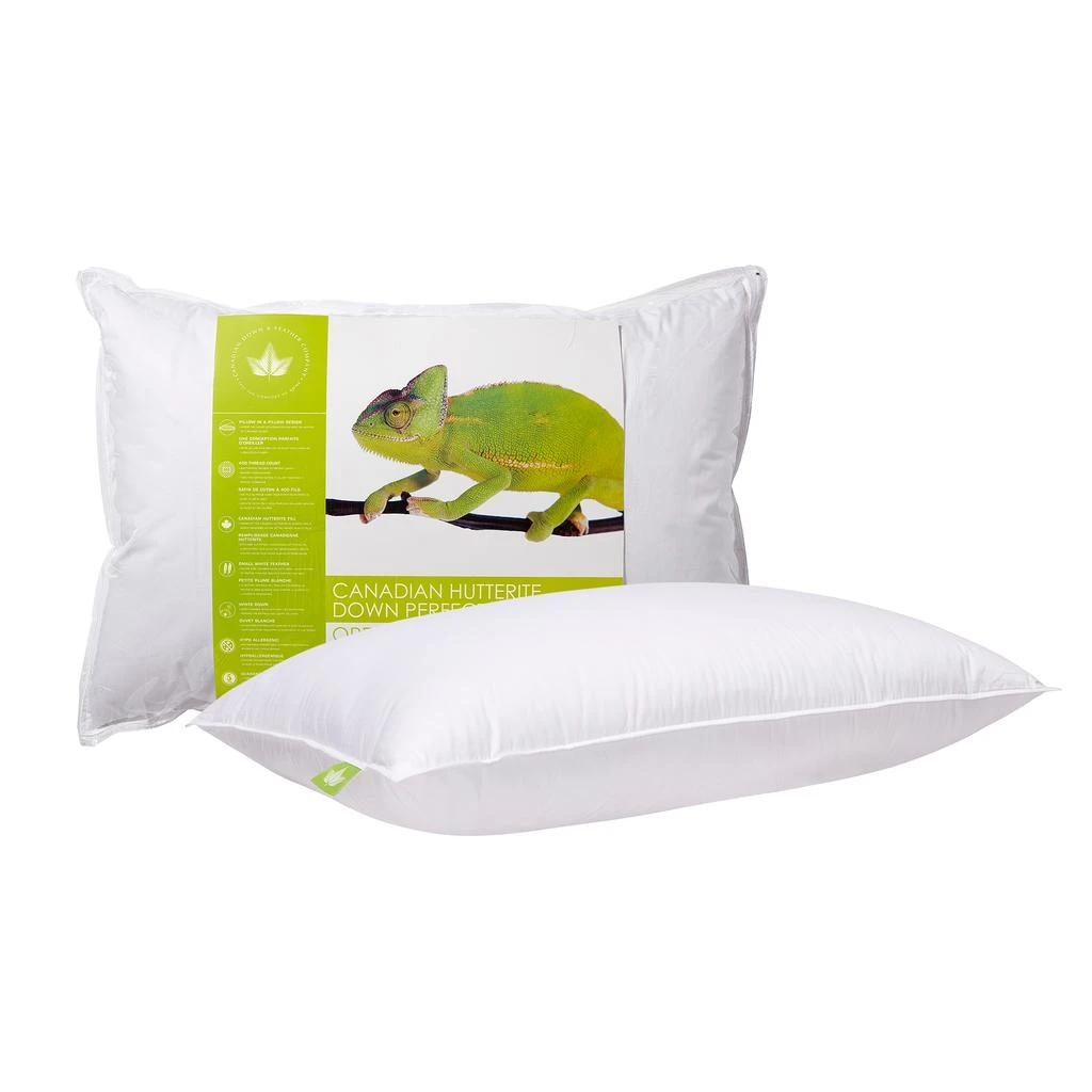 Canadian Down & Feather Company Hutterite Down Perfect Pillow Medium Support 1