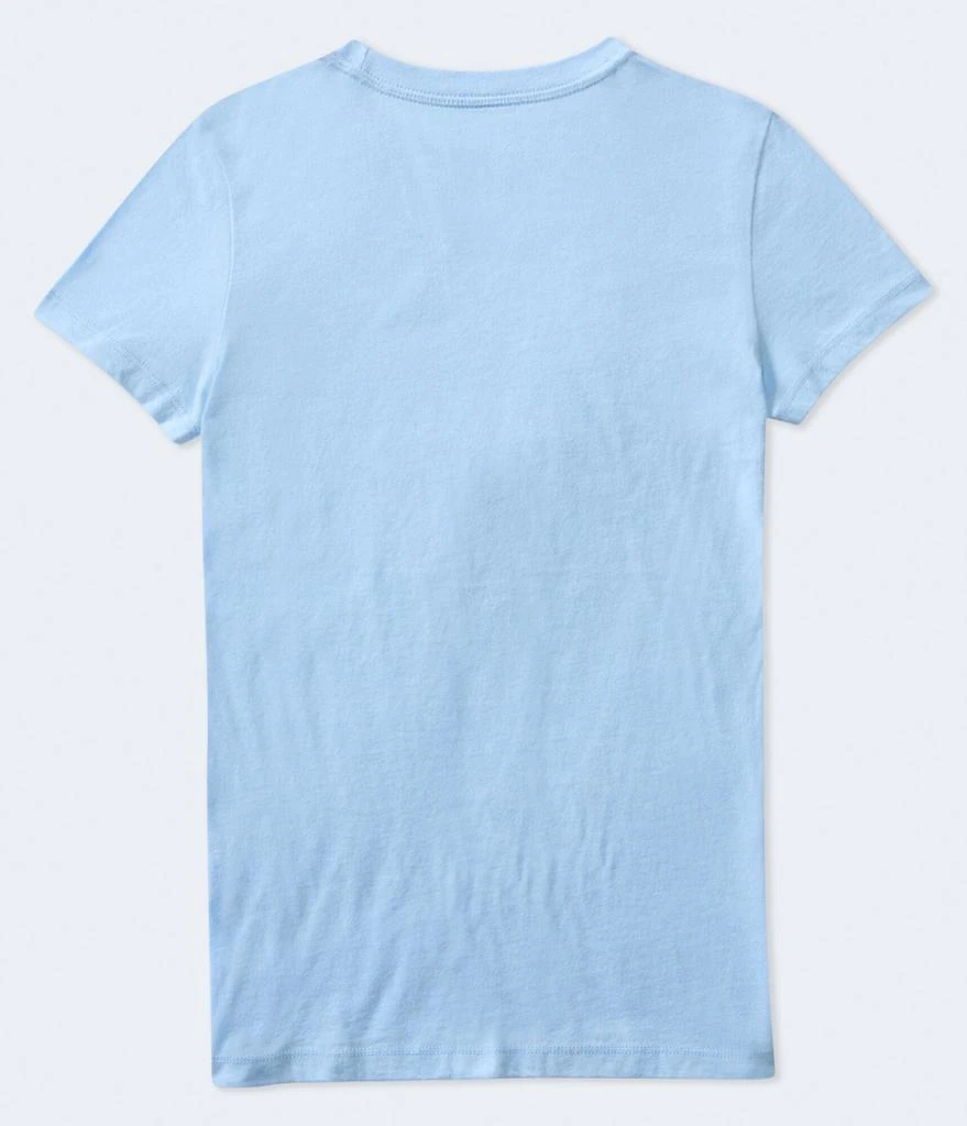 Aeropostale New York Butterflies Graphic Tee 3