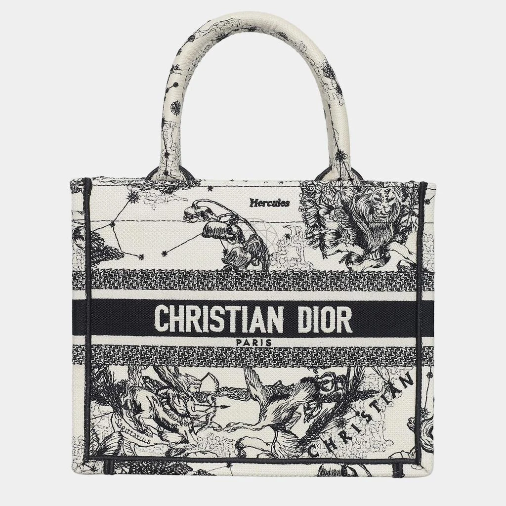 Dior Christian Dior Book Tote Bag 1