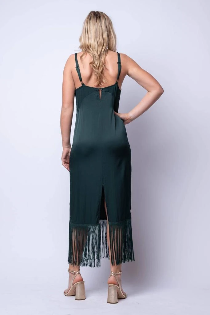 Young Fabulous & Broke Young Fabulous & Broke - Feliz Dress 3