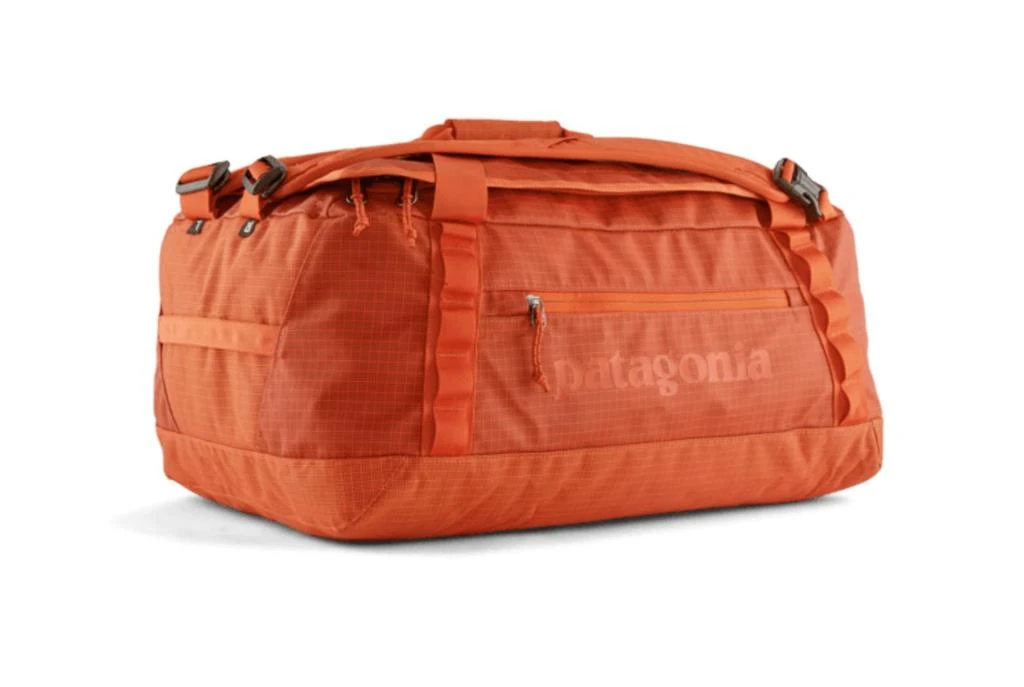 Patagonia Patagonia Black Hole Duffel 40 L All Pollinator Orange