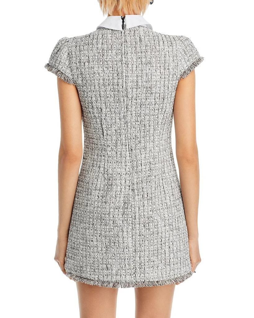 Likely Riello Collared Dress 4