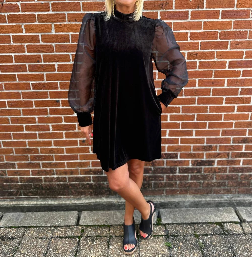 Shop Jodifl - Velvet Sheer Sleeve Dress on Sale at BeyondStyle  Get 36%  Off Jodifl - Velvet Sheer Sleeve Dress with Limited-Time Flash Deals,  Exclusive Discounts, and Special Offers. Enjoy Unbeatable