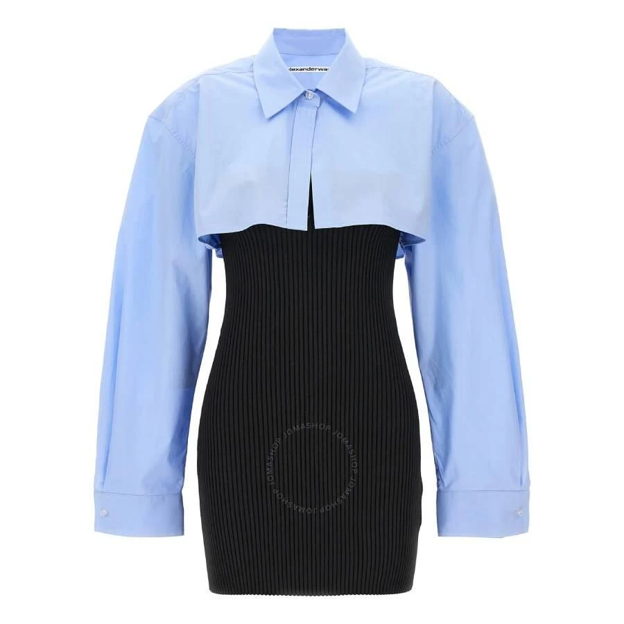 Alexander Wang Long Sleeve Ribbed Shirt Dress 1