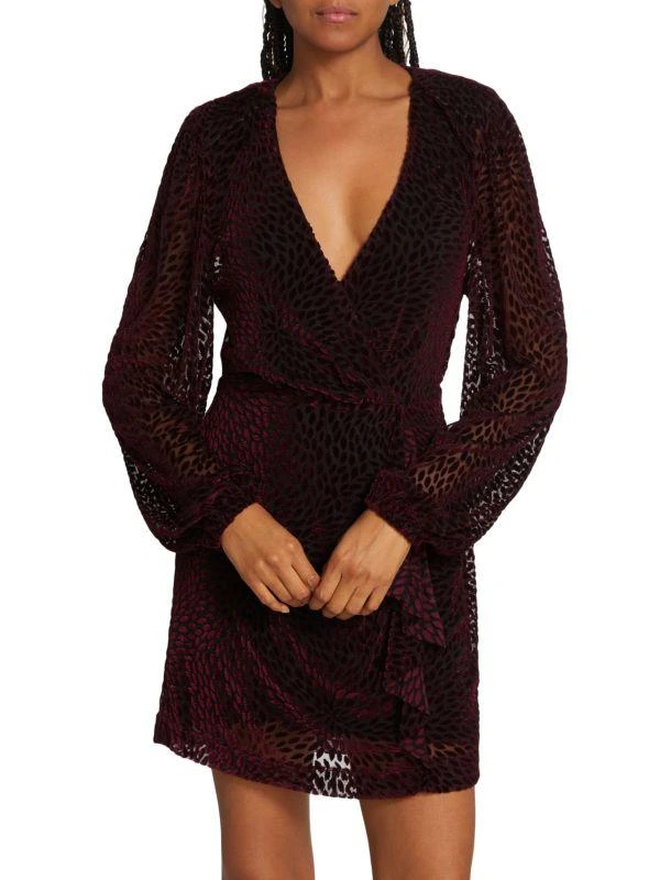 Ramy Brook Aman Embroidered Minidress 1