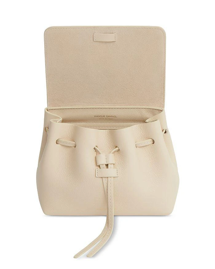 Mansur Gavriel Mini Soft Lady Bag 2