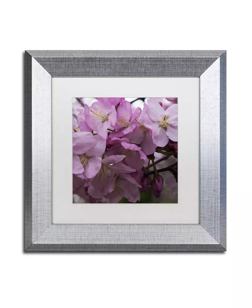 Trademark Global Kurt Shaffer 'Cherry Blossom Cluster' Matted Framed Art - 11" x 11"