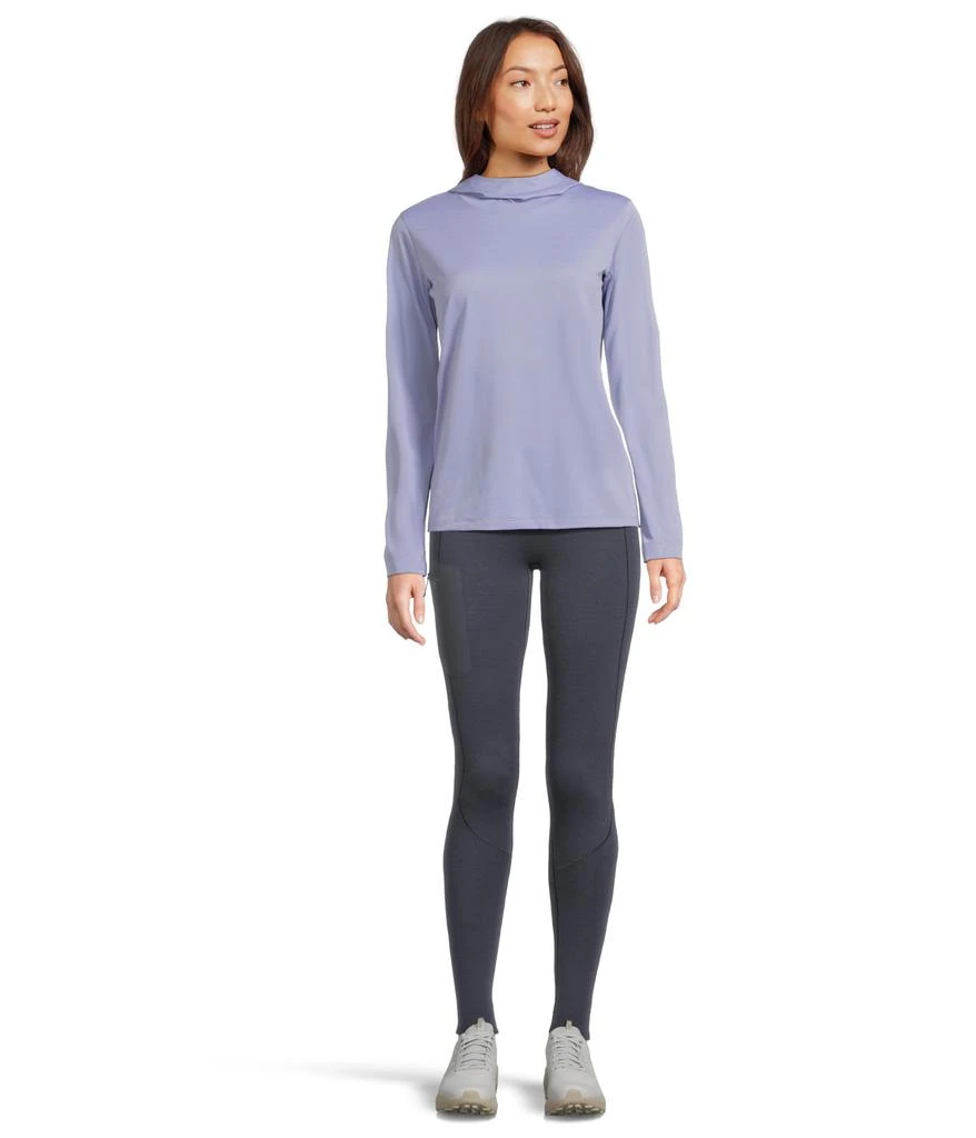 Arc'teryx Taema Hoodie 5