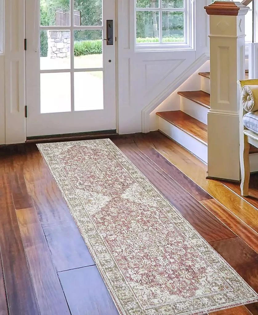 Amer Rugs Century Blythe 2'6" x 8' Runner Area Rug 7