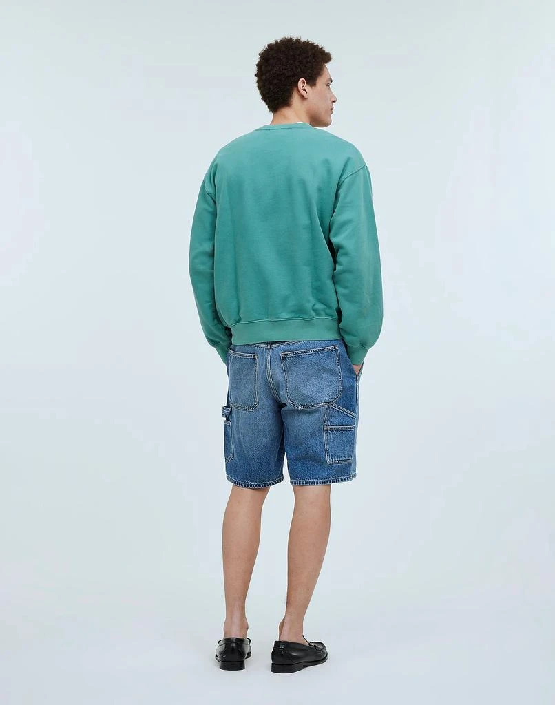 Madewell Denim Carpenter Shorts in Rees Wash 4
