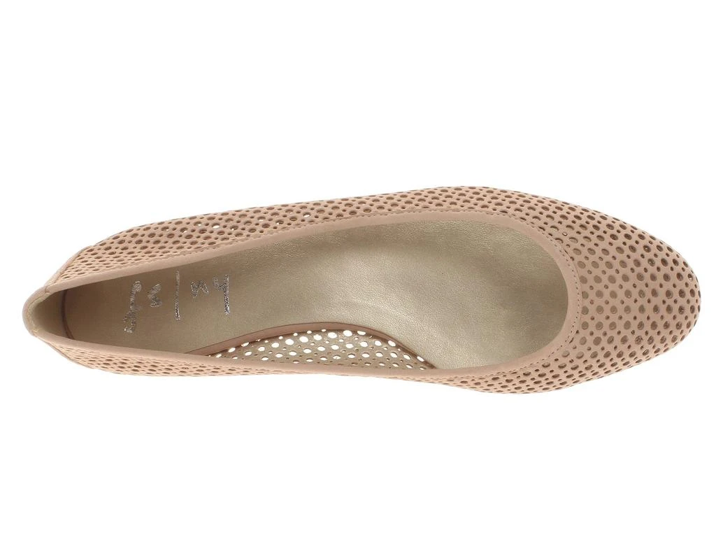 French Sole League 2