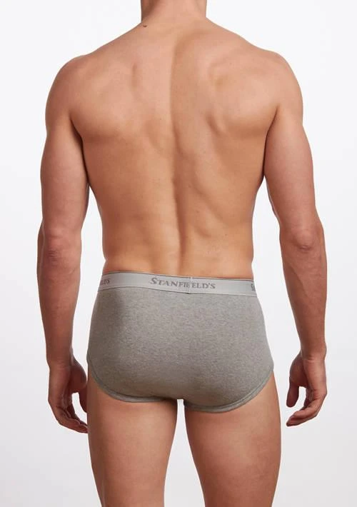 Stanfield's Mens Premium 100 Cotton Brief Underwear  3 Pack 2