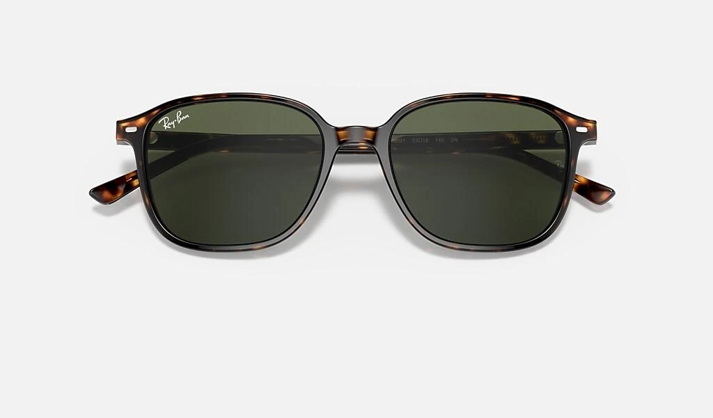 Ray-Ban LEONARD 5