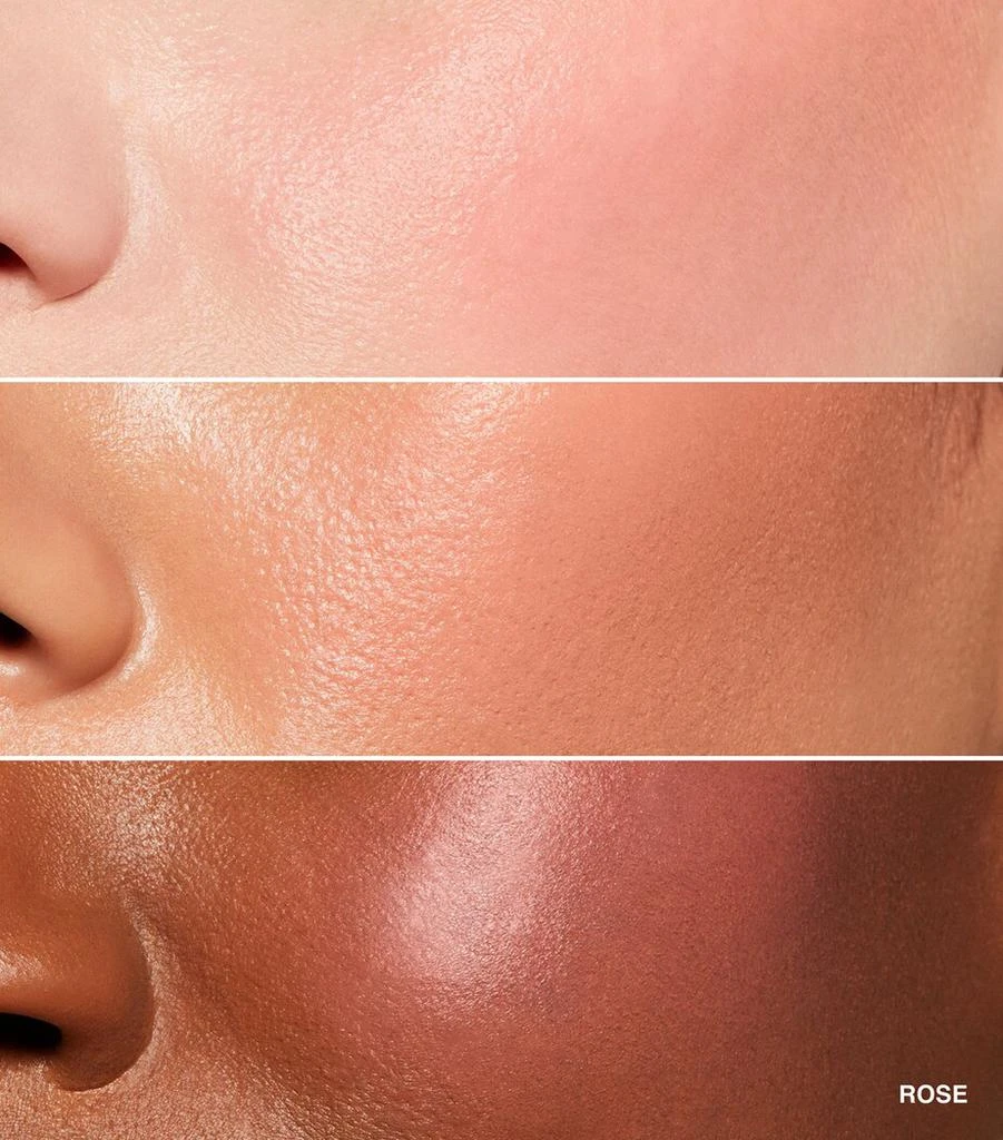 Bobbi Brown Pot Rouge 3
