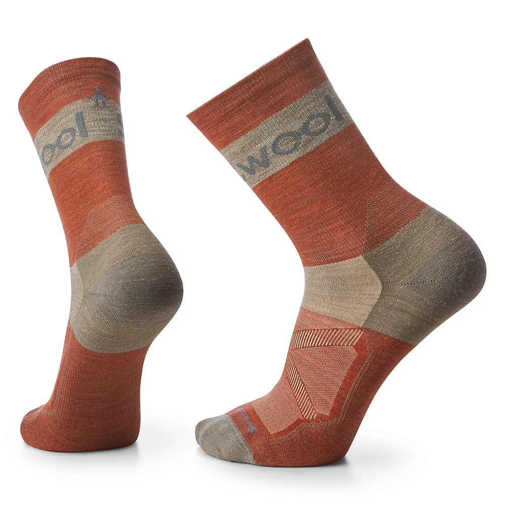 SmartWool Men's Bike Zero Cushion Stripe Crew Sock 2