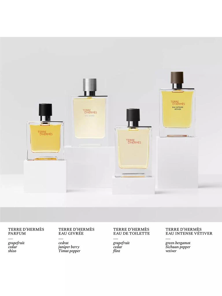 Hermes Terre d'Hermes Eau de Toilette 3
