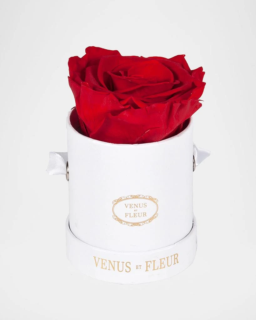 Venus ET Fleur Classic Mini Round Rose Box 1