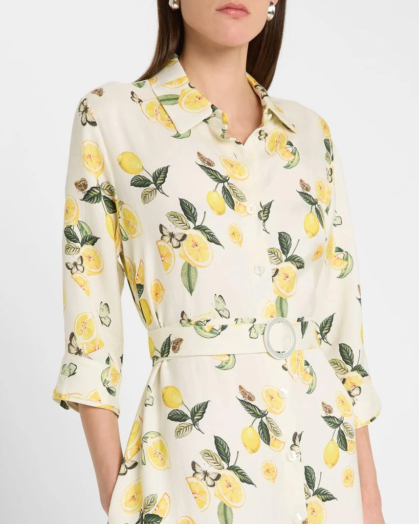 Evi Grintela Valerie Belted Lemon-Print Maxi Shirtdress 5