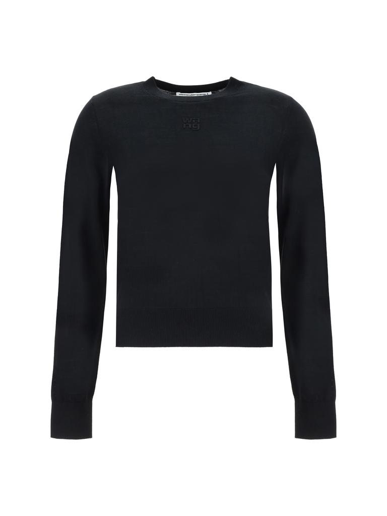 Alexander Wang Sweater