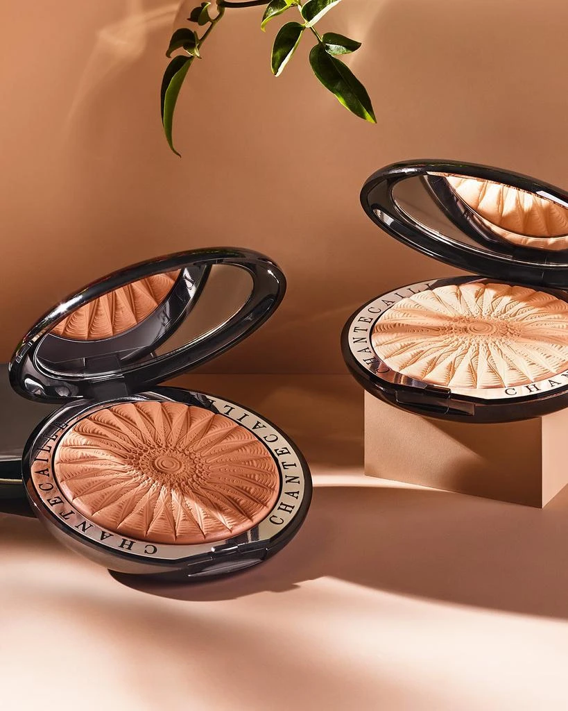 Chantecaille Perfect Blur Finishing Powder 4